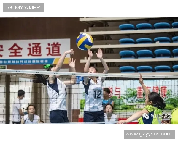 重庆排球队的战术控制与技术分析探讨排球热点新视角