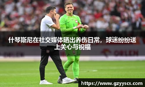 什琴斯尼在社交媒体晒出养伤日常，球迷纷纷送上关心与祝福