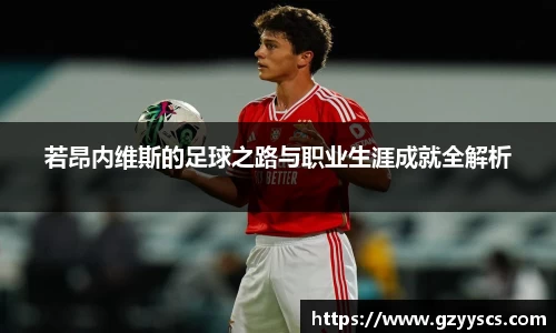 若昂内维斯的足球之路与职业生涯成就全解析