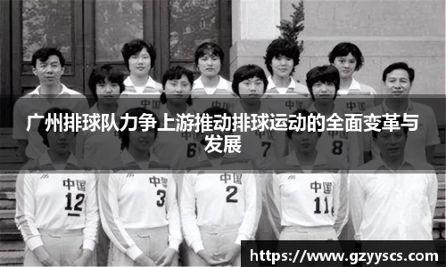 雷竞技官网入口